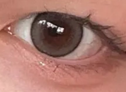 エバーカラーマンスリー/エバーカラー/1ヶ月(1MONTH)カラコンを使ったクチコミ(2枚目)