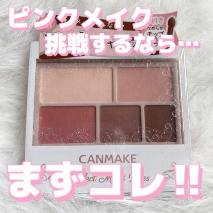 パーフェクトマルチアイズ/キャンメイク/アイシャドウパレットを使ったクチコミ(1枚目)