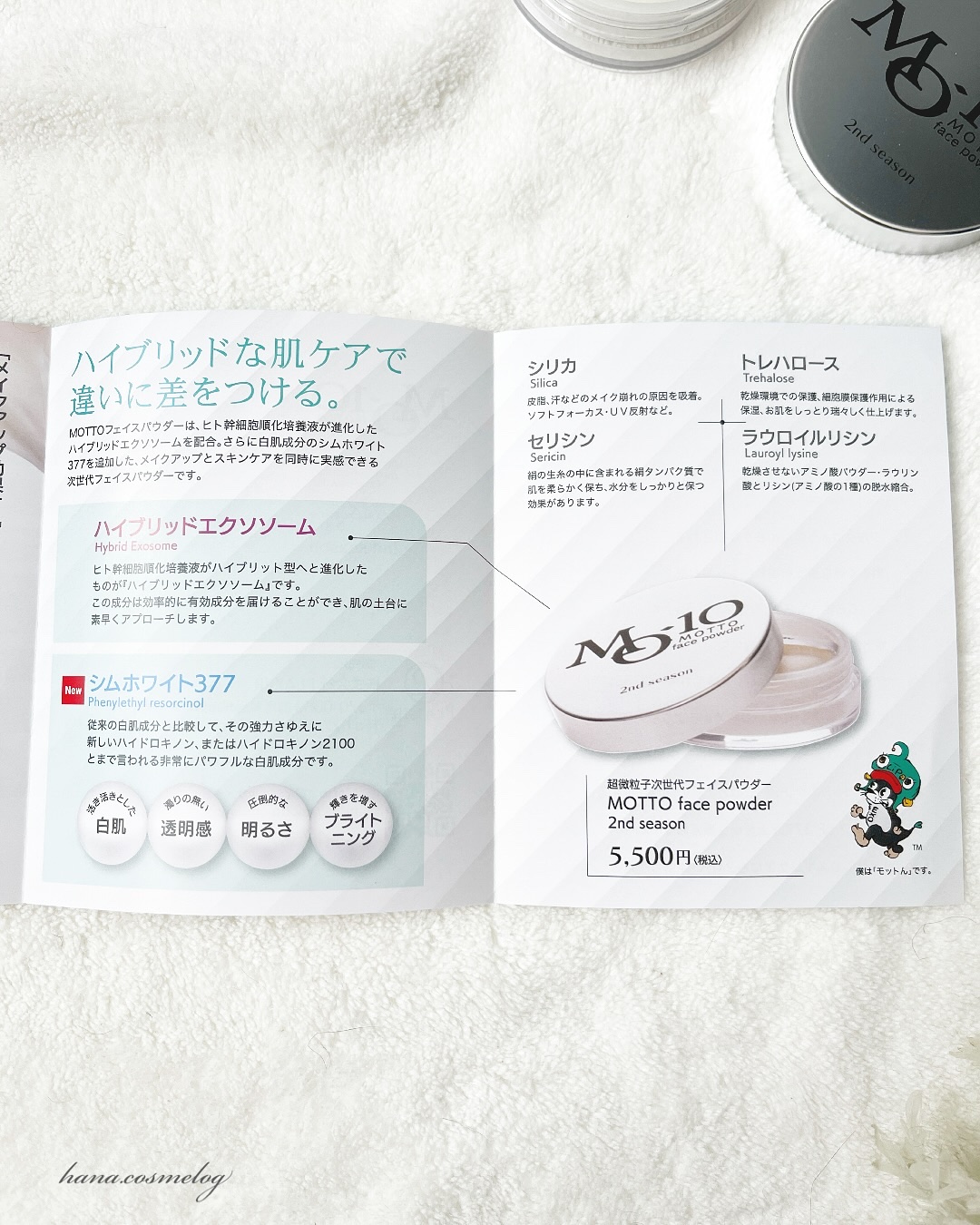 MOTTOフェイスパウダー2nd season 2個 image.jpg?v=1690423313&amp;width=1500