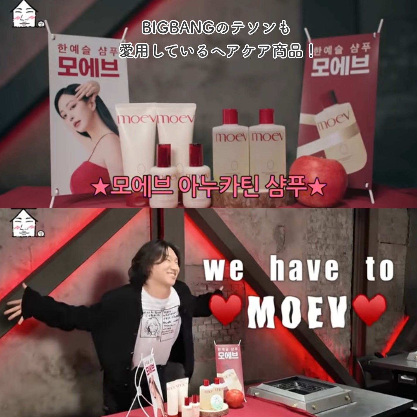 モエブ アヌカチン シャンプー/トリートメント/moev/市販シャンプーを使ったクチコミ(4枚目)