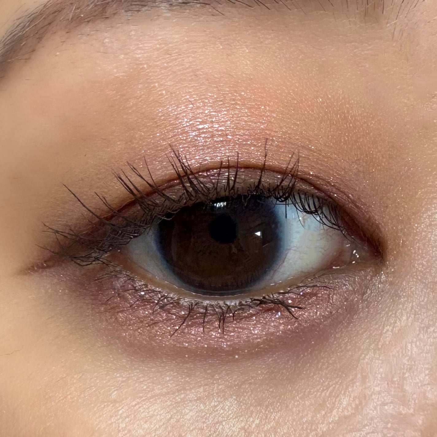 ããã£ãã¬ããã¢ã€ãº/ãã£ã³ã¡ã€ã¯/ããŠããŒã¢ã€ã·ã£ããŠã䜿ã£ãã¯ãã³ãïŒ4æç®ïŒ