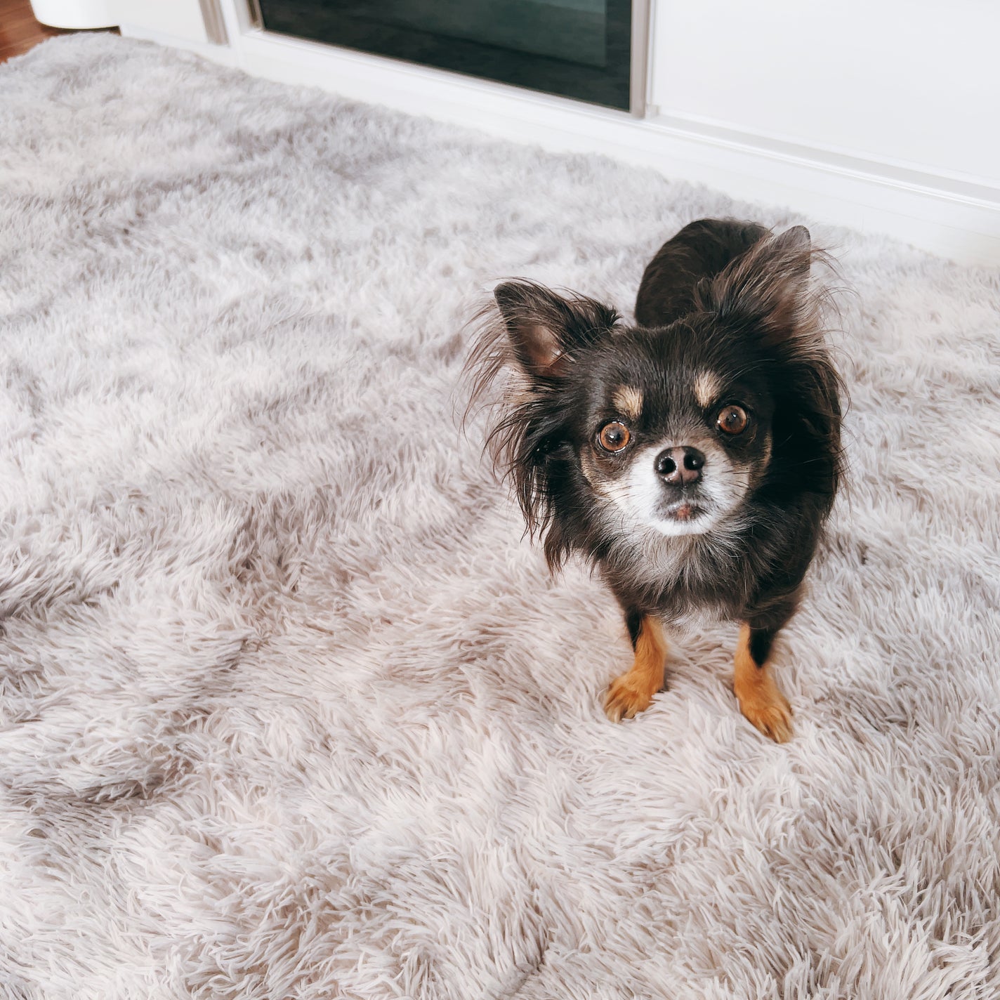 ひふみレイキ💫フォロバ♾️ on LIPS 「今日は私のLIPSネーム💡ひふみレイキオーガニックマニアについ..」(6枚目)