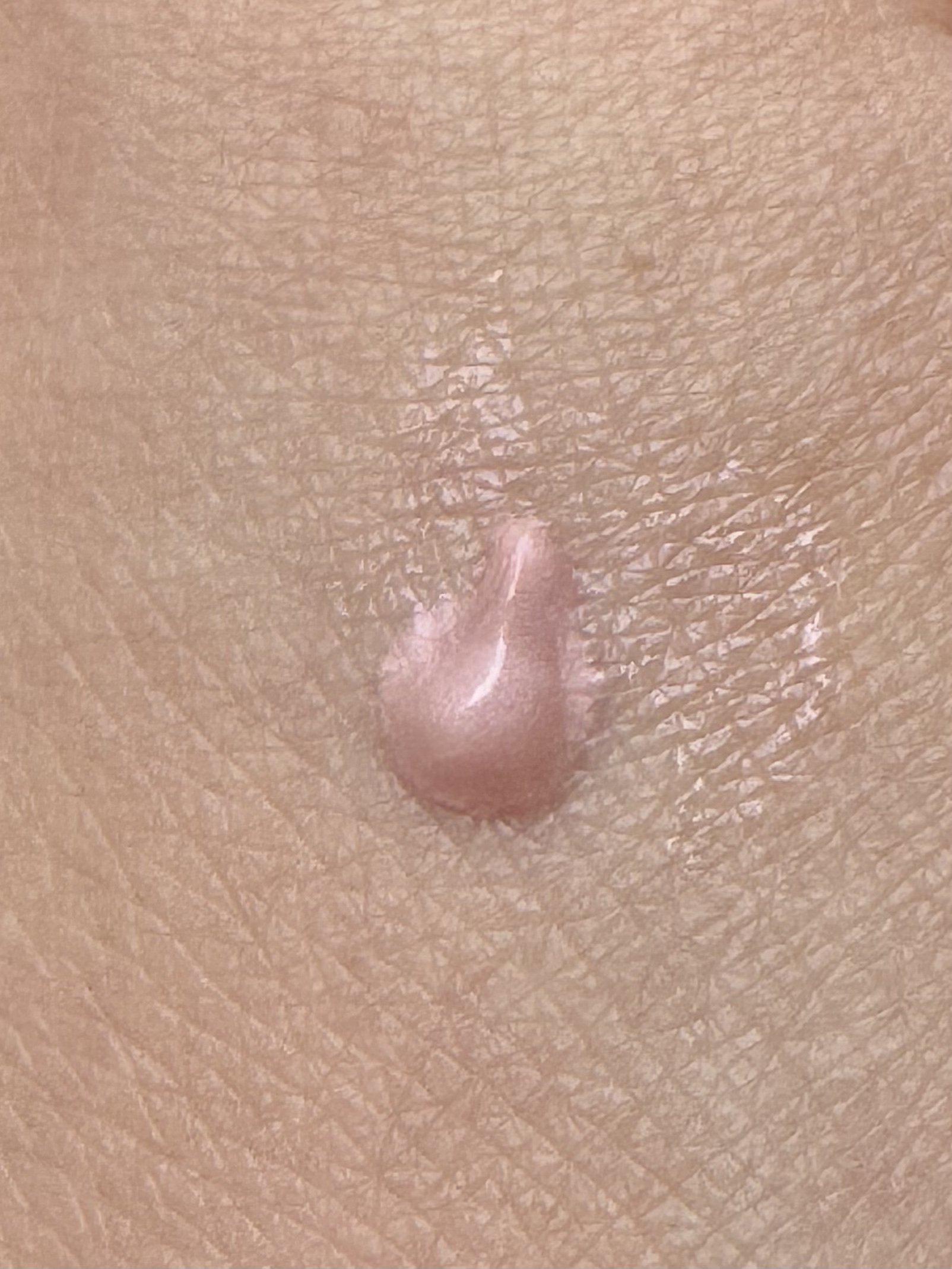 CR ハイライター ローズ グロー/bareMinerals/ハイライトを使ったクチコミ（2枚目）