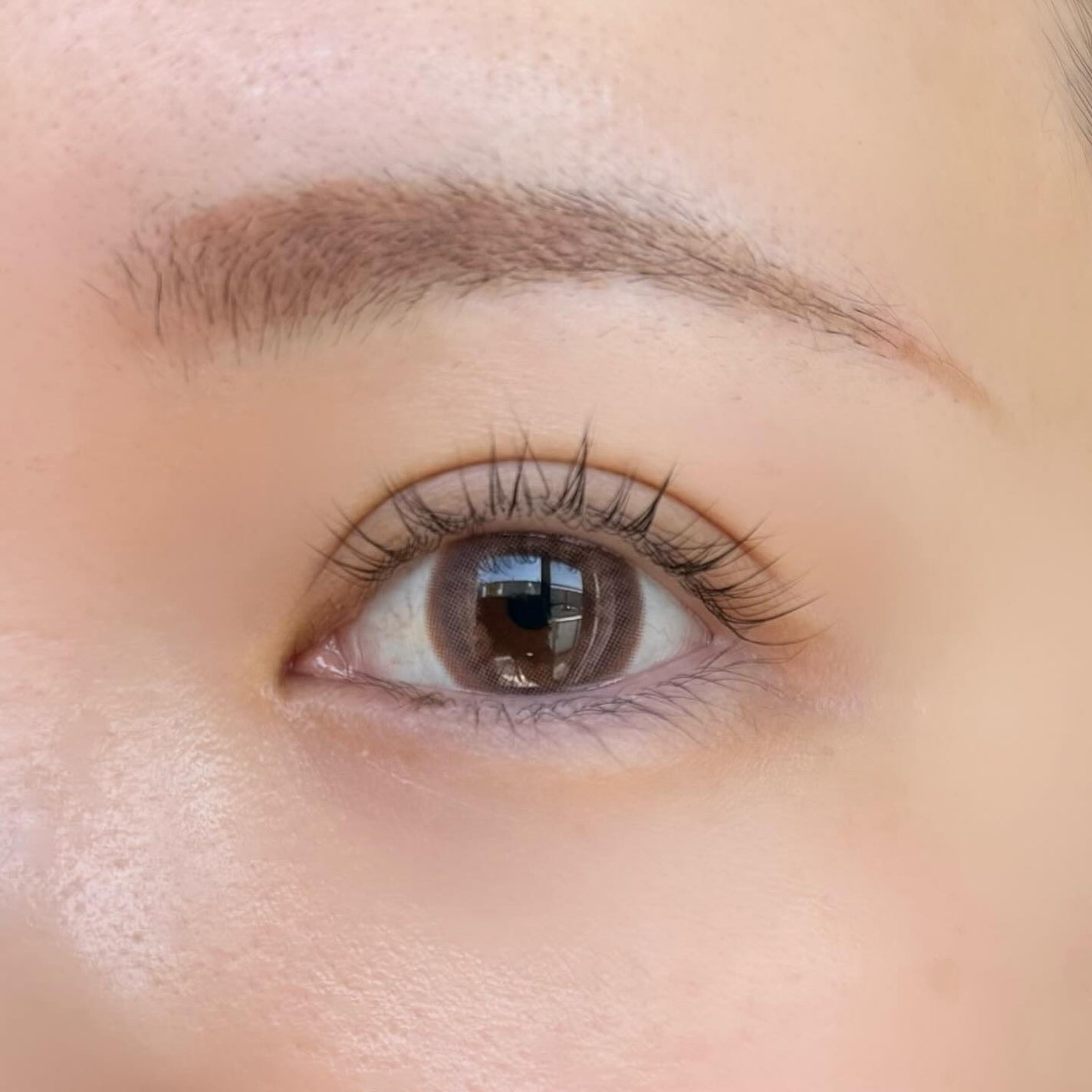 Tarojeom/ANN365LENS/ワンデー(1DAY)カラコンを使ったクチコミ(5枚目)