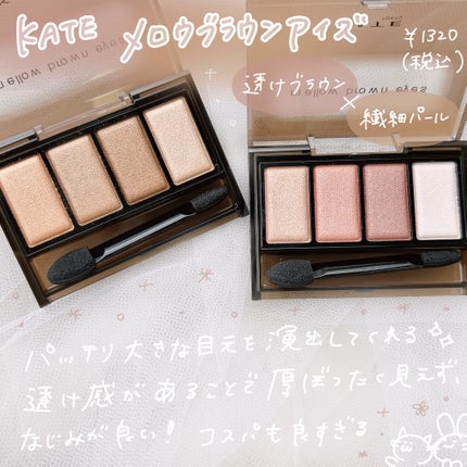 ケイト メロウブラウンアイズ/KATE/アイシャドウパレットを使ったクチコミ(2枚目)