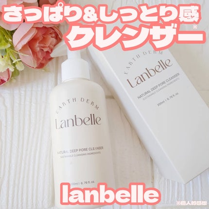 ナチュラルディープポアクレンザー/LANBELLE/その他洗顔料を使ったクチコミ(1枚目)