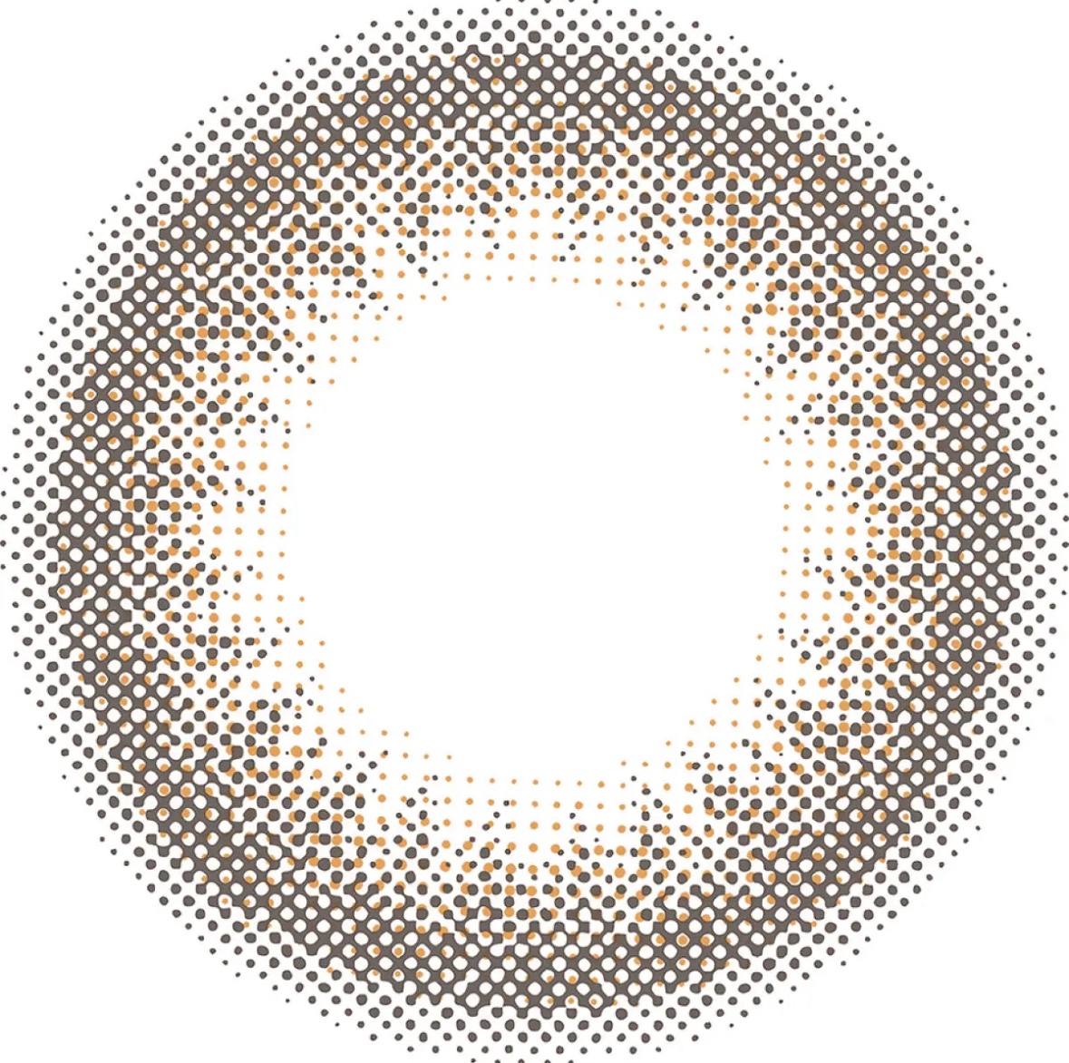 TOPARDS 1day オパール/TOPARDS/ワンデー（１DAY）カラコンを使ったクチコミ（2枚目）