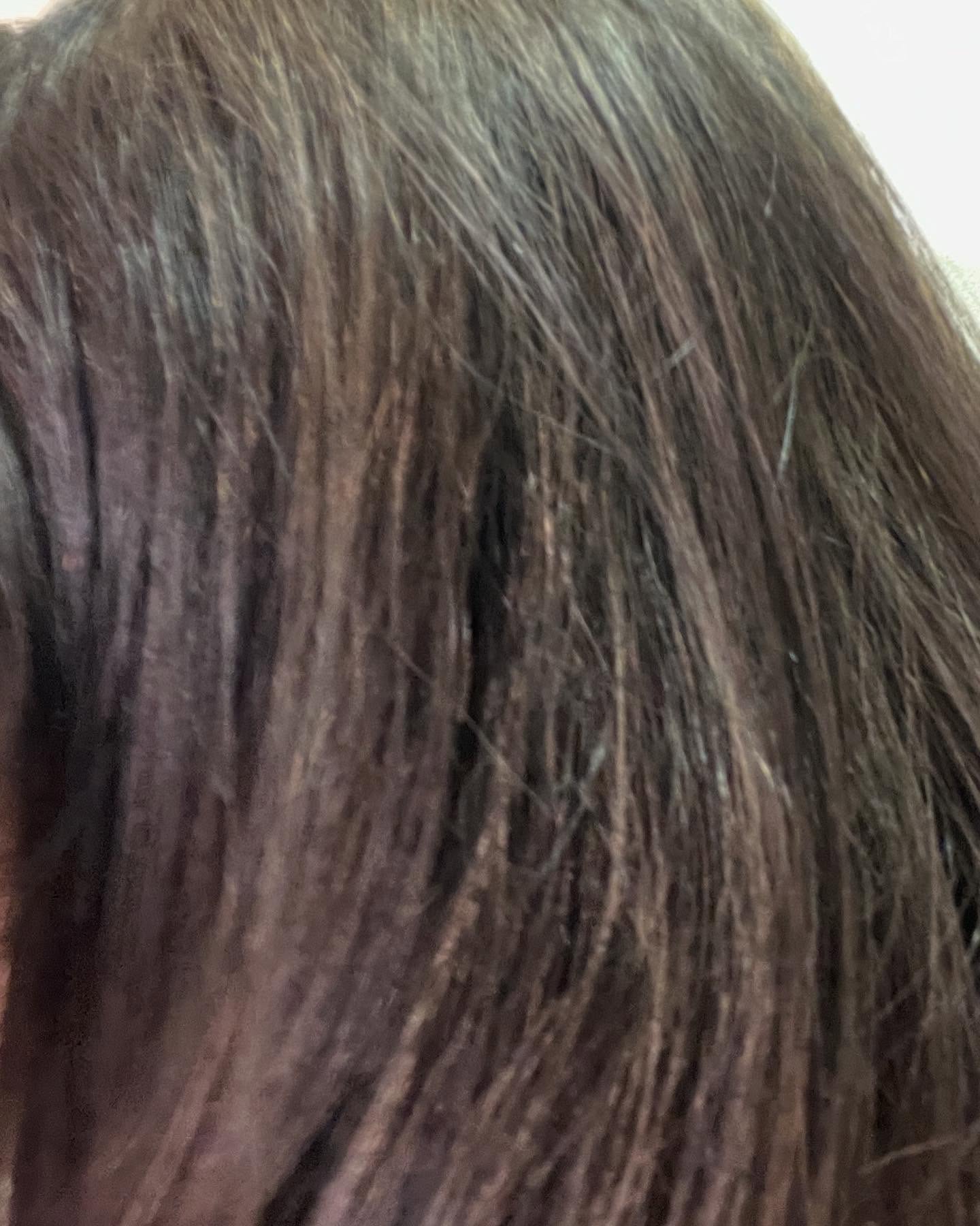 チャコリッチ/ホコニコ/市販シャンプーを使ったクチコミ（3枚目）