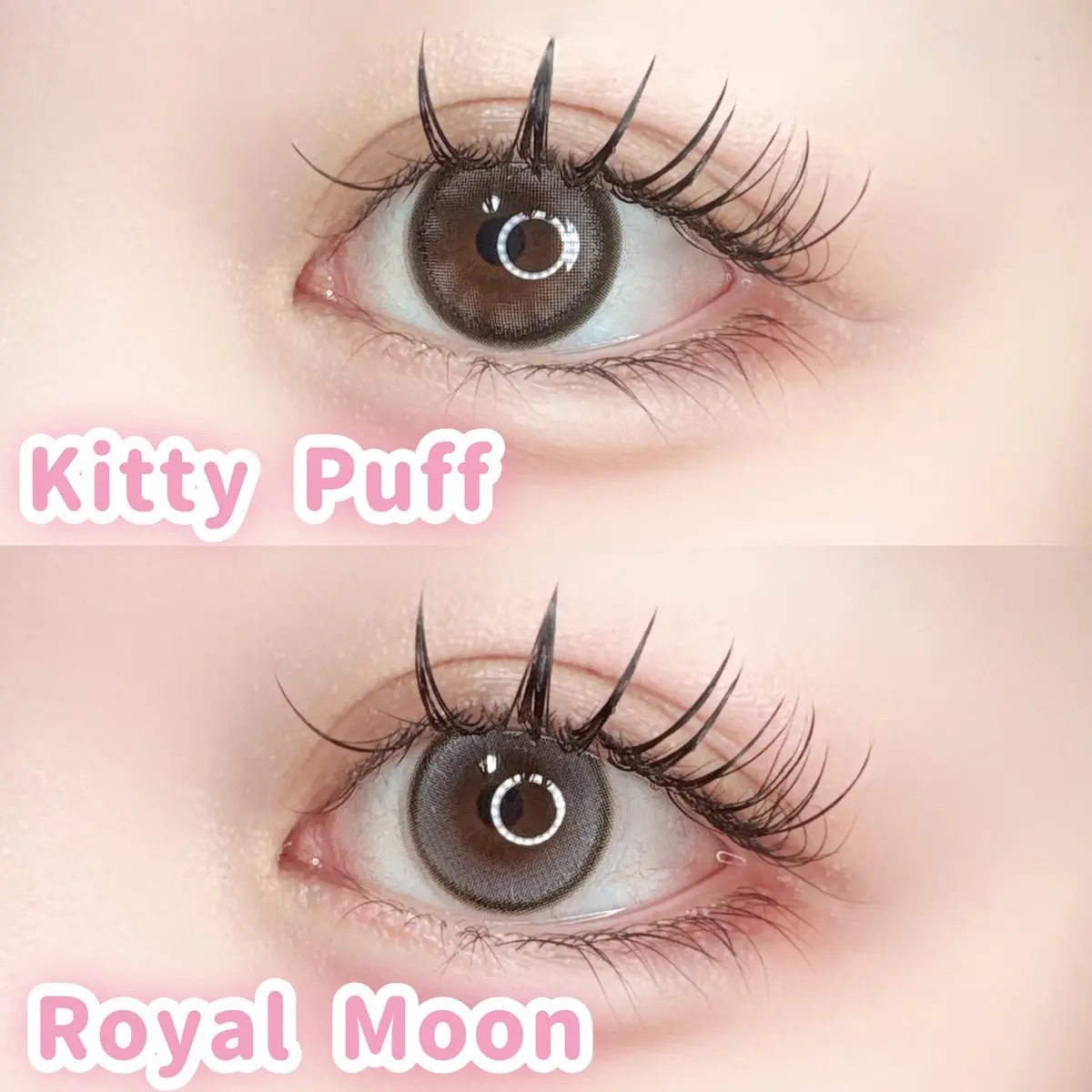 mimi charme 1day/mimi charme/ワンデー（１DAY）カラコンを使ったクチコミ（2枚目）