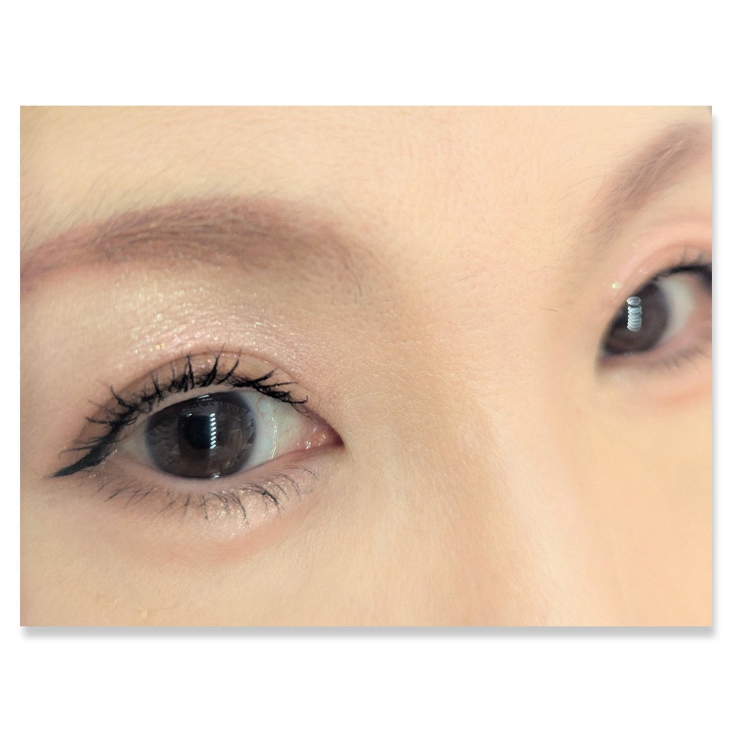 シャドウパレット/dasique/アイシャドウパレットを使ったクチコミ(2枚目)