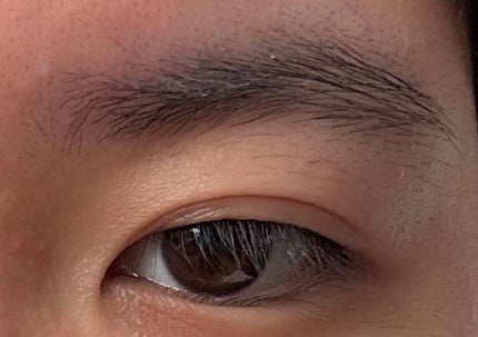 キラー アイ トリオ/Visée/アイシャドウパレットを使ったクチコミ(1枚目)