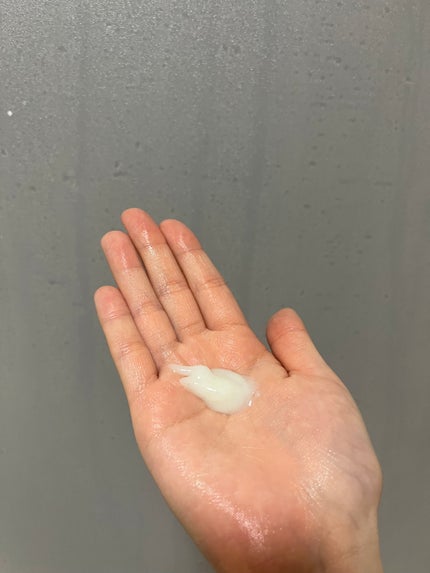 サボンドサボタ モイストプランプシャンプー/ヘアトリートメント/Savon du Savota/シャンプー・コンディショナーを使ったクチコミ(7枚目)