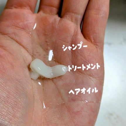 サボンドサボタ モイストプランプシャンプー/ヘアトリートメント/Savon du Savota/シャンプー・コンディショナーを使ったクチコミ(2枚目)