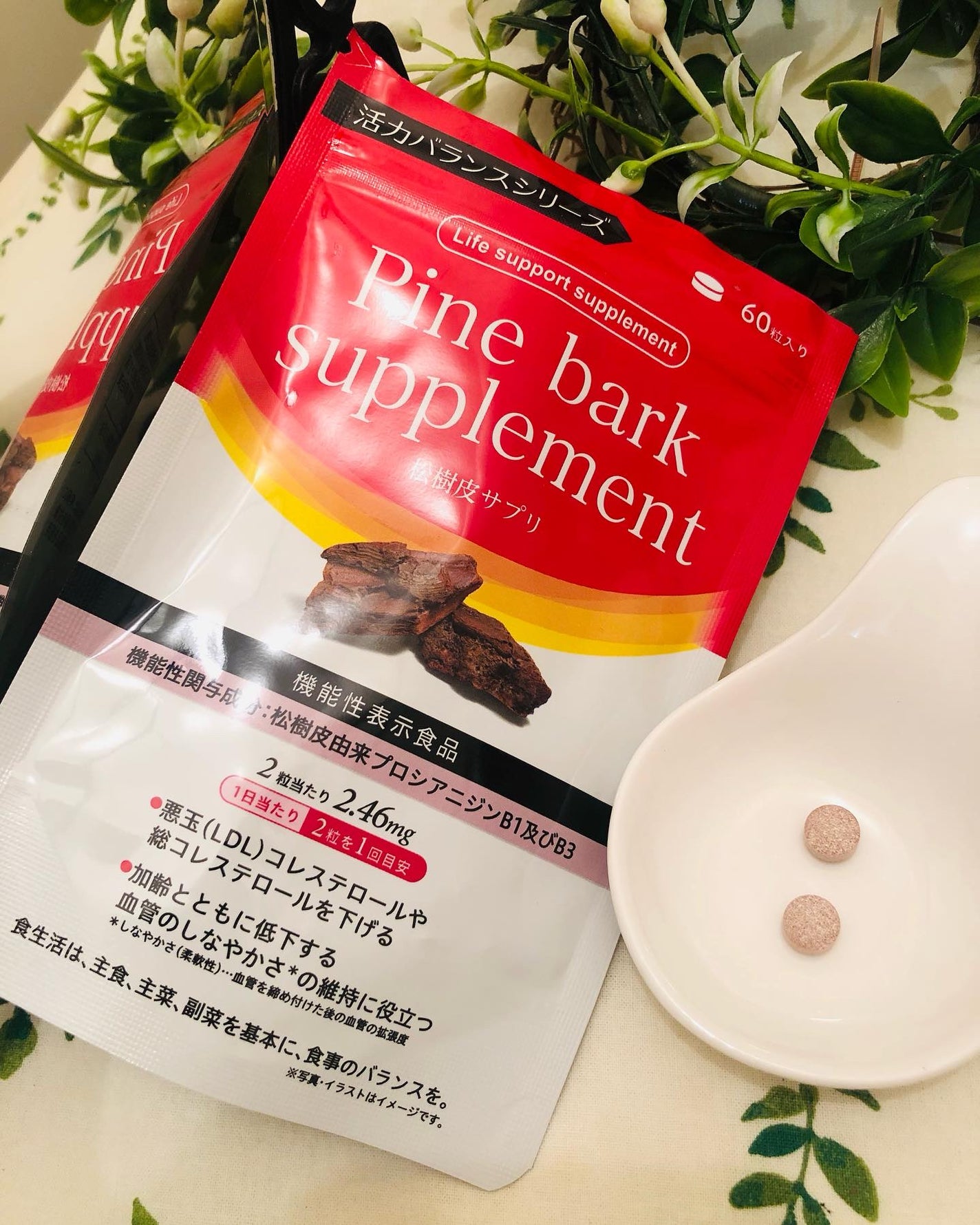 フランス海岸松抽出物 Pine bark supplement/活力バランス/健康サプリメントを使ったクチコミ(1枚目)
