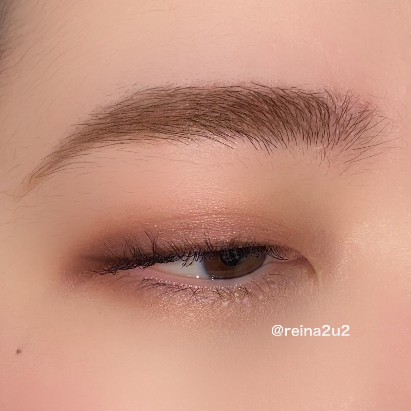 レイナ on LIPS 「【今日のメイク】︎2aNベターミーアイパレット03MISTYマ..」(3枚目)