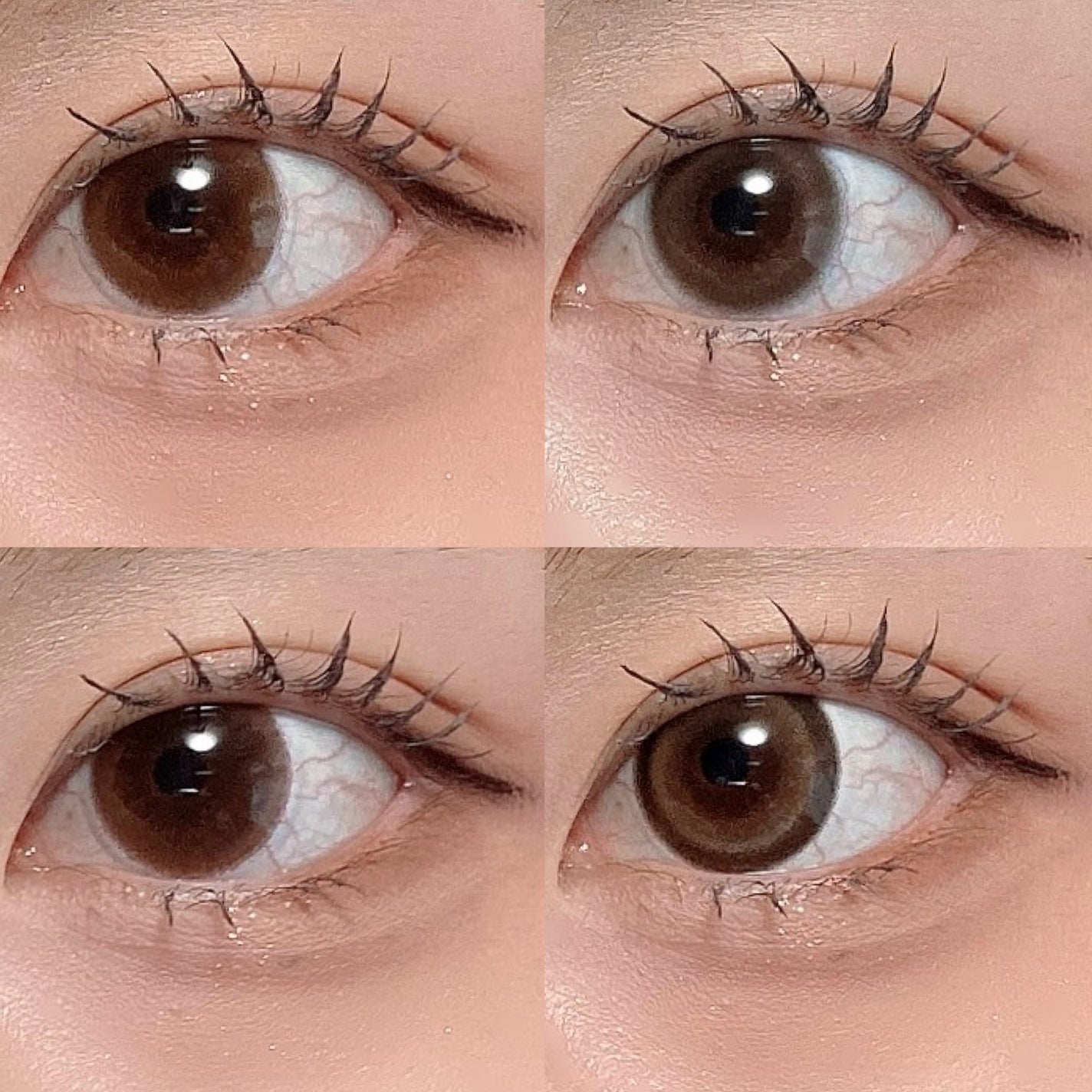 ReVIA 1day/ReVIA/ワンデー(1DAY)カラコンを使ったクチコミ(6枚目)