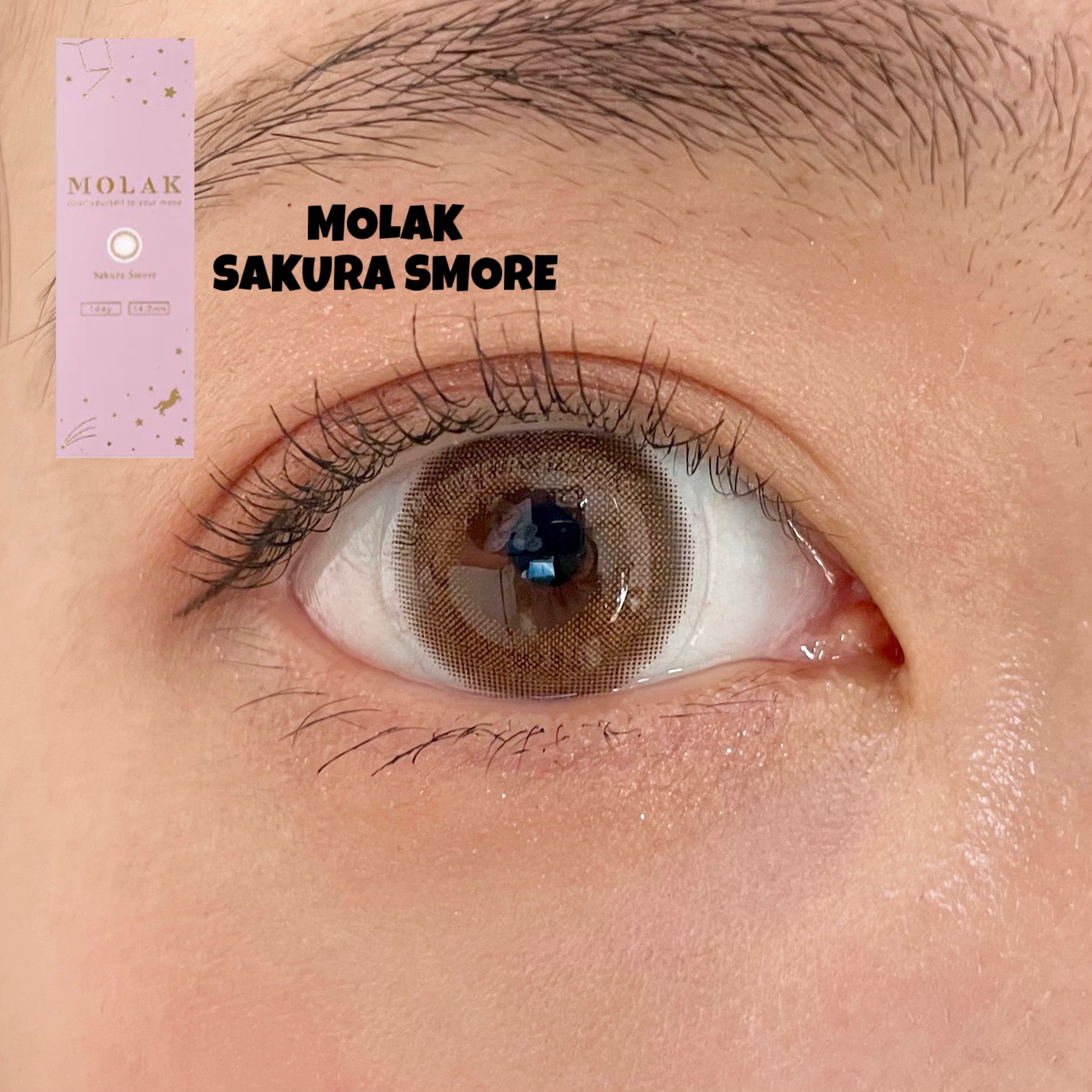 MOLAK 1day/MOLAK/ワンデー（１DAY）カラコンを使ったクチコミ（1枚目）