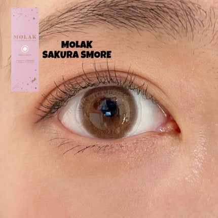 MOLAK 1day/MOLAK/ワンデー(1DAY)カラコンを使ったクチコミ(1枚目)