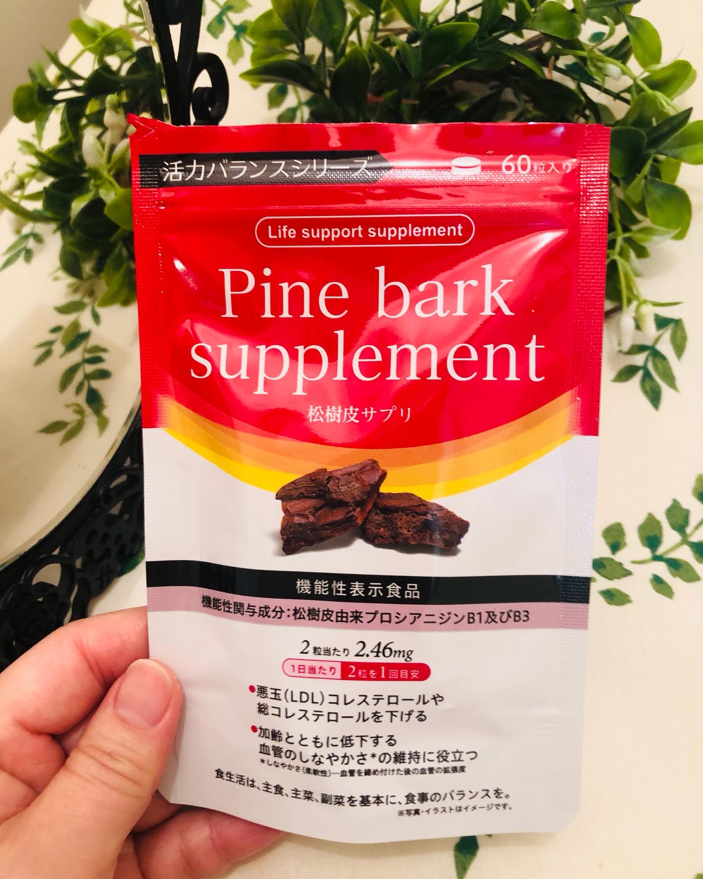 フランス海岸松抽出物 Pine bark supplement/活力バランス/健康サプリメントを使ったクチコミ（2枚目）