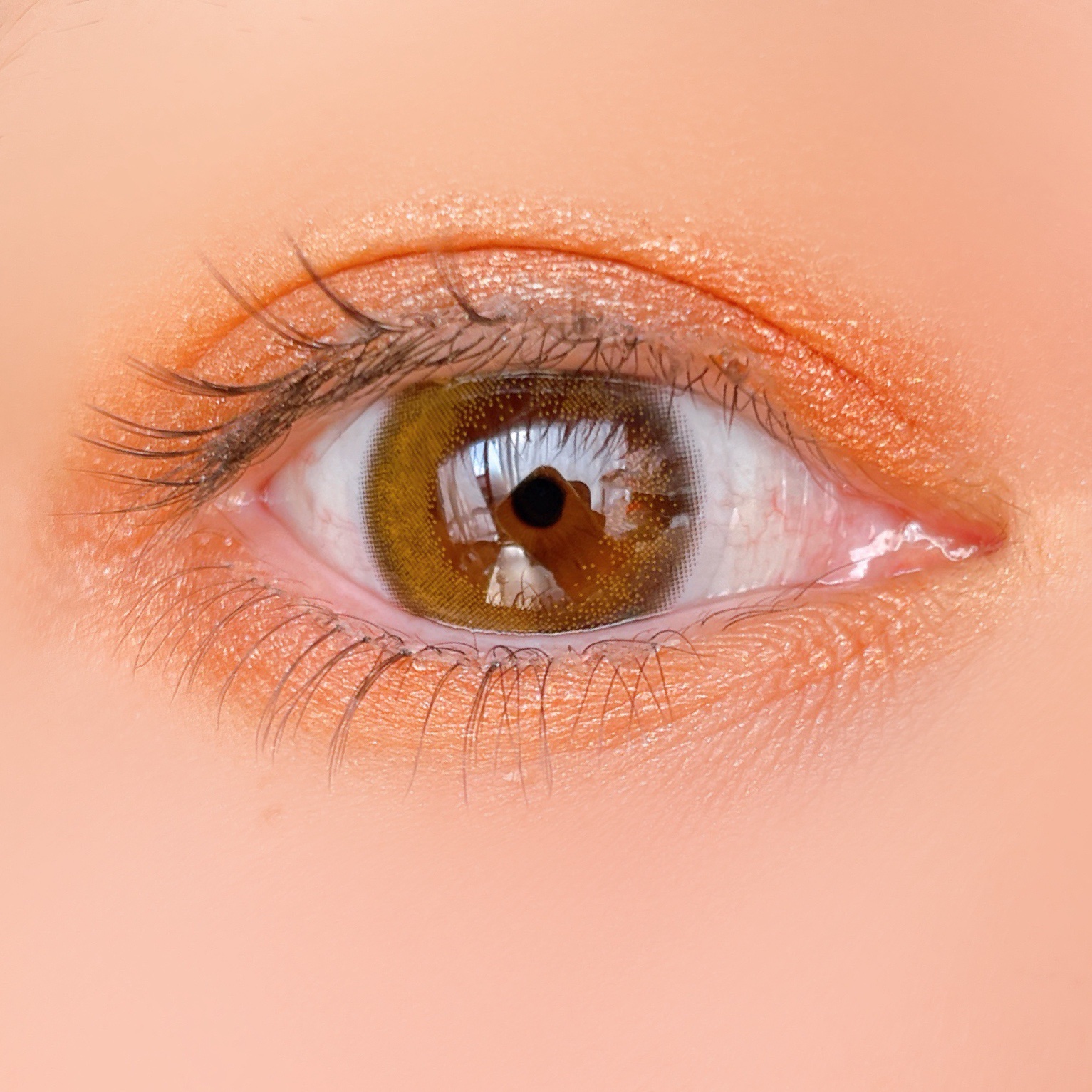 6色アイシャドウパレット/and us/アイシャドウパレットを使ったクチコミ（3枚目）