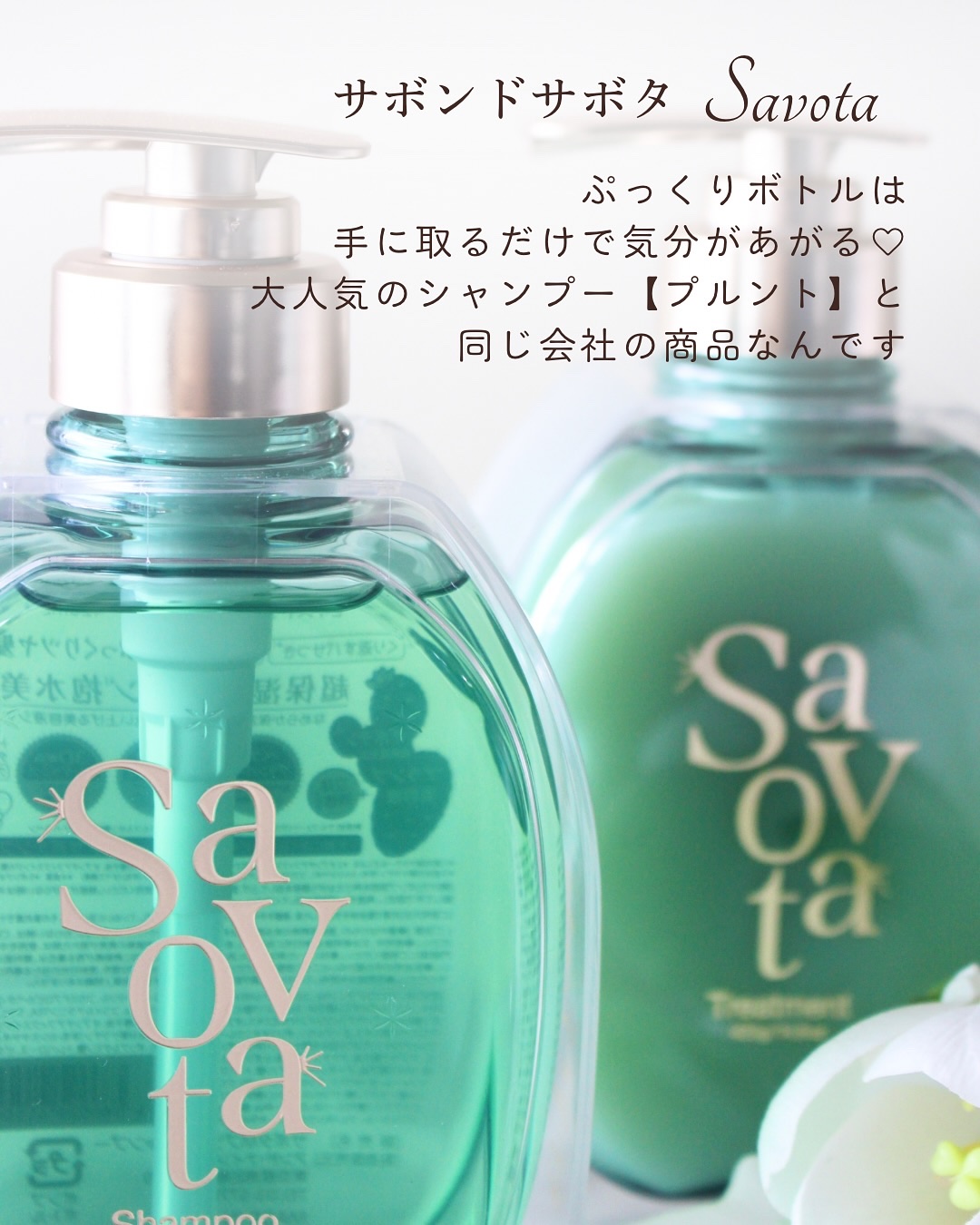 サボンドサボタ　サボテンスクラブスケーラー/Savon du Savota/ヘッドスクラブを使ったクチコミ（2枚目）