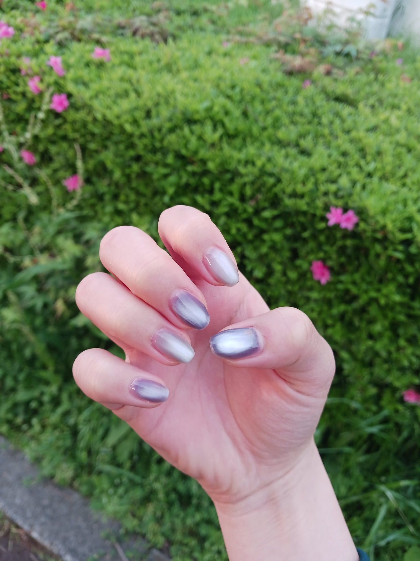 rikonikopooh フォロバ on LIPS 「🪻🤍🪻Sheinのマグネットネイルを初めて購入しました粘度は高..」(1枚目)