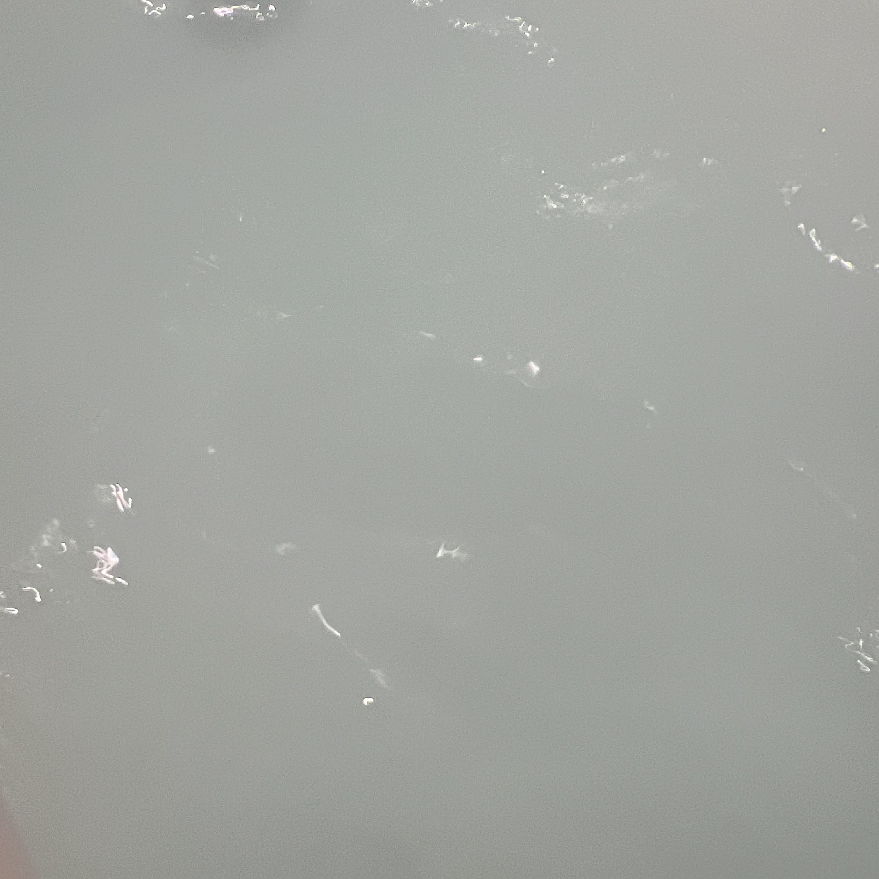 H.L.Bバスパウダー おやすみ前の新習慣  10回分/H.L.B/炭酸系入浴剤を使ったクチコミ（2枚目）