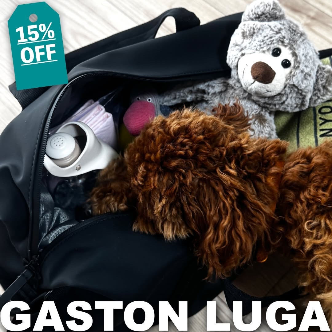 shon_pocket on LIPS 「デカプー飼いはじめました🥹毎日白目で寝てくれる愛しすぎるじろう..」(1枚目)