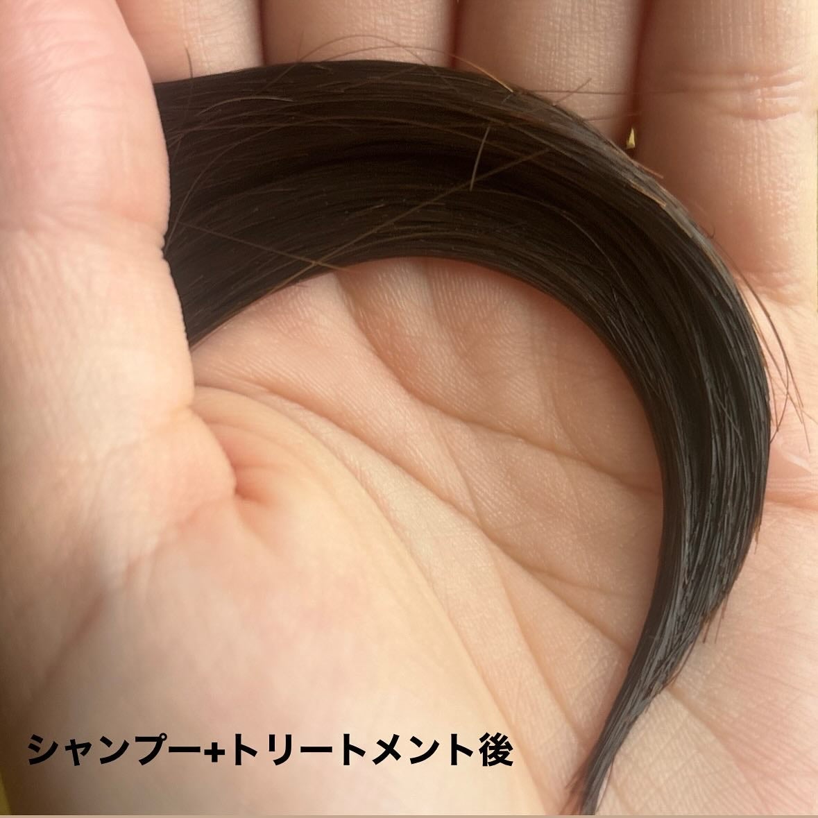 サボンドサボタ モイストプランプシャンプー/ヘアトリートメント/Savon du Savota/シャンプー・コンディショナーを使ったクチコミ(7枚目)