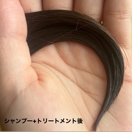 サボンドサボタ モイストプランプシャンプー/ヘアトリートメント/Savon du Savota/シャンプー・コンディショナーを使ったクチコミ(7枚目)