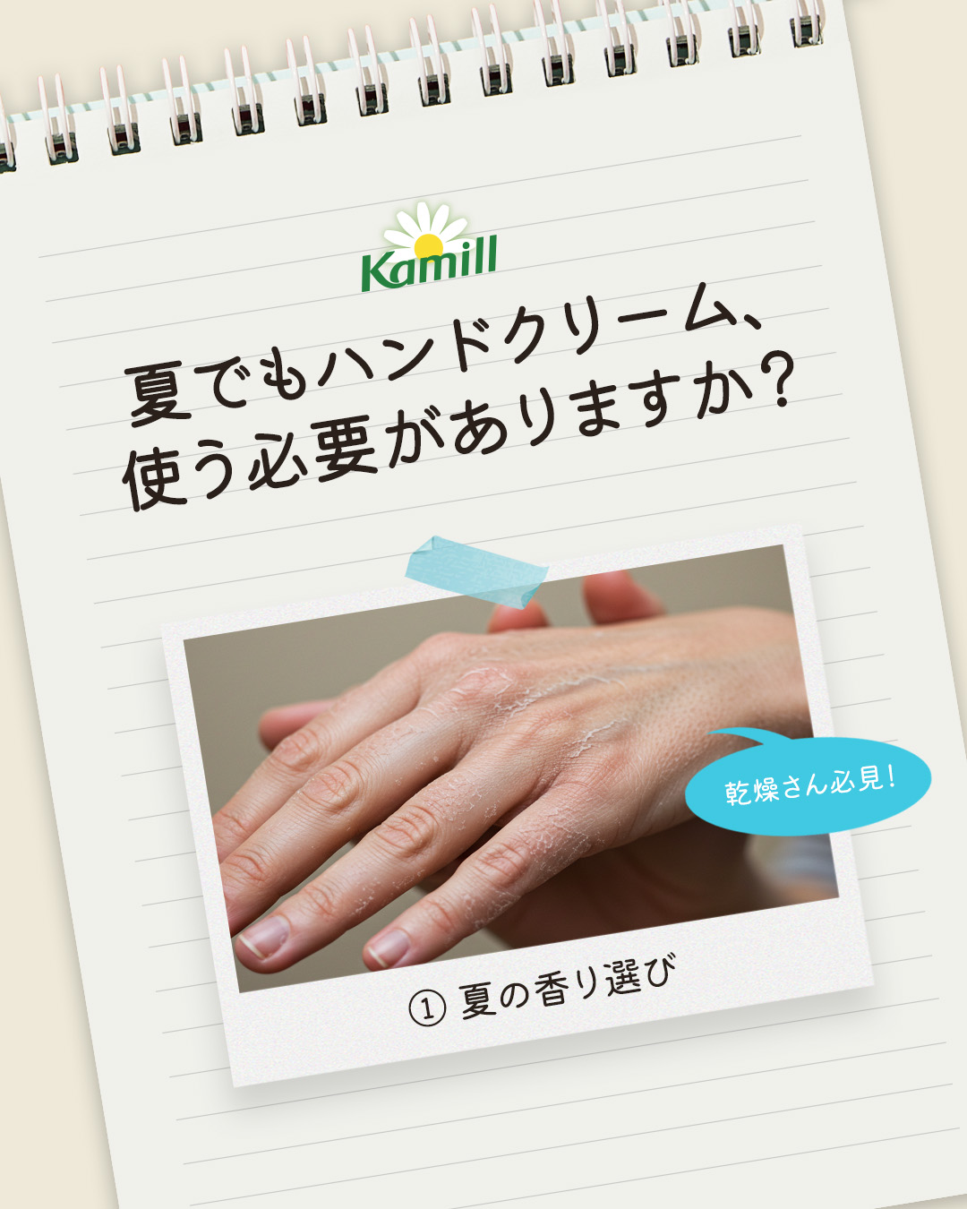 パフューマリー ハンド＆ネイルクリーム ブルーガーデン 50ml/カミール/ハンドクリームを使ったクチコミ（1枚目）