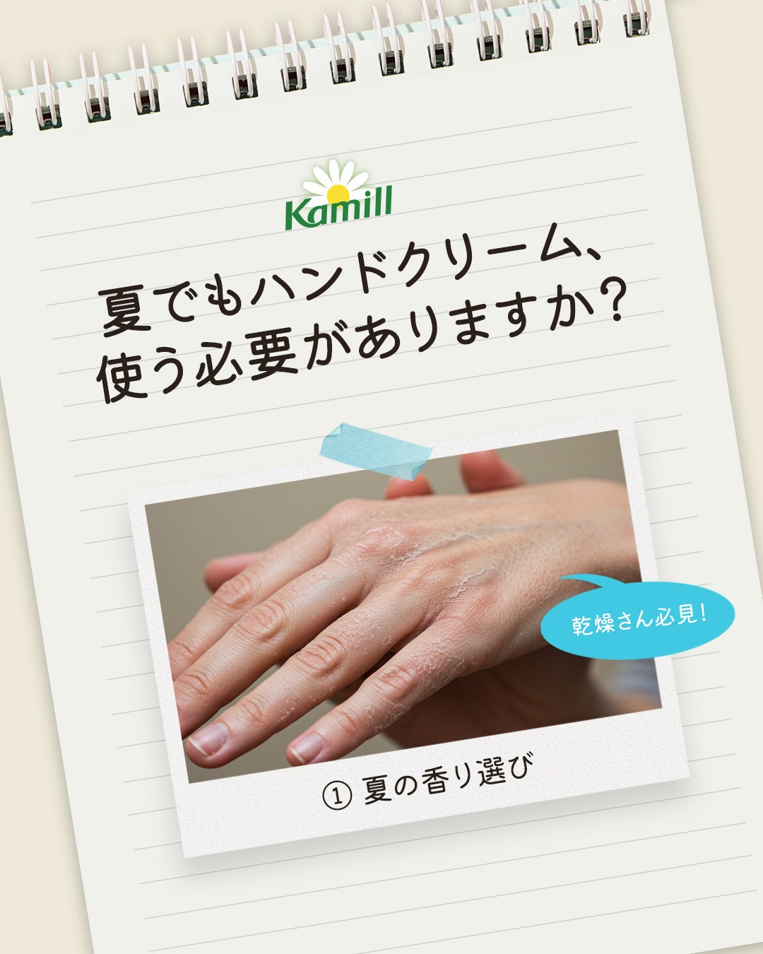 パフューマリー ハンド&ネイルクリーム カモミールダイブ 50ml/カミール/ハンドクリームを使ったクチコミ(1枚目)