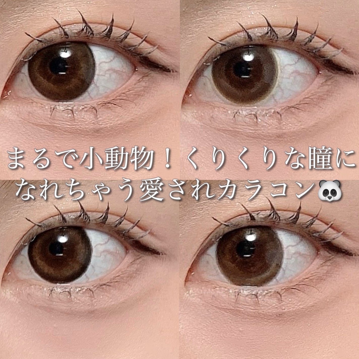 Marble by LUXURY(マーブルバイラグジュアリー)1day/Marble by LUXURY/ワンデー(1DAY)カラコンを使ったクチコミ(1枚目)