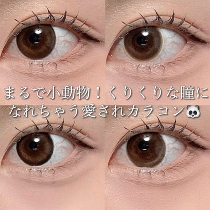 FruFru 1day/FruFru/ワンデー(1DAY)カラコンを使ったクチコミ(1枚目)