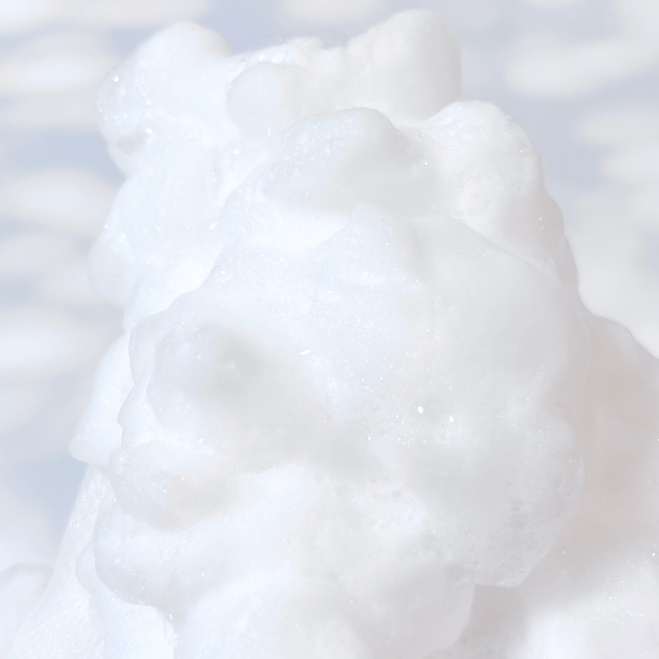 スキンコンディショニング洗顔/ファンケル/洗顔フォームを使ったクチコミ（1枚目）