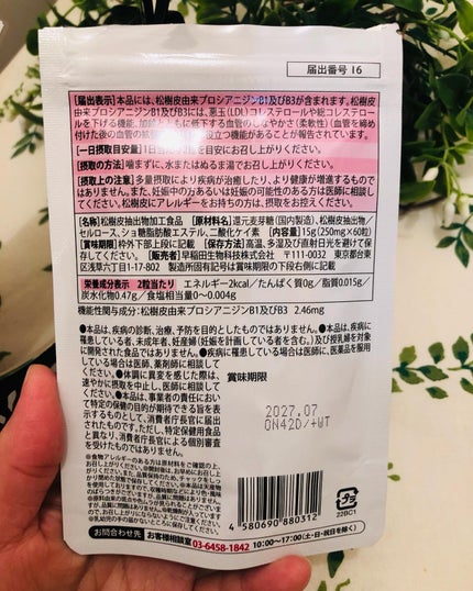 フランス海岸松抽出物 Pine bark supplement/活力バランス/健康サプリメントを使ったクチコミ(5枚目)