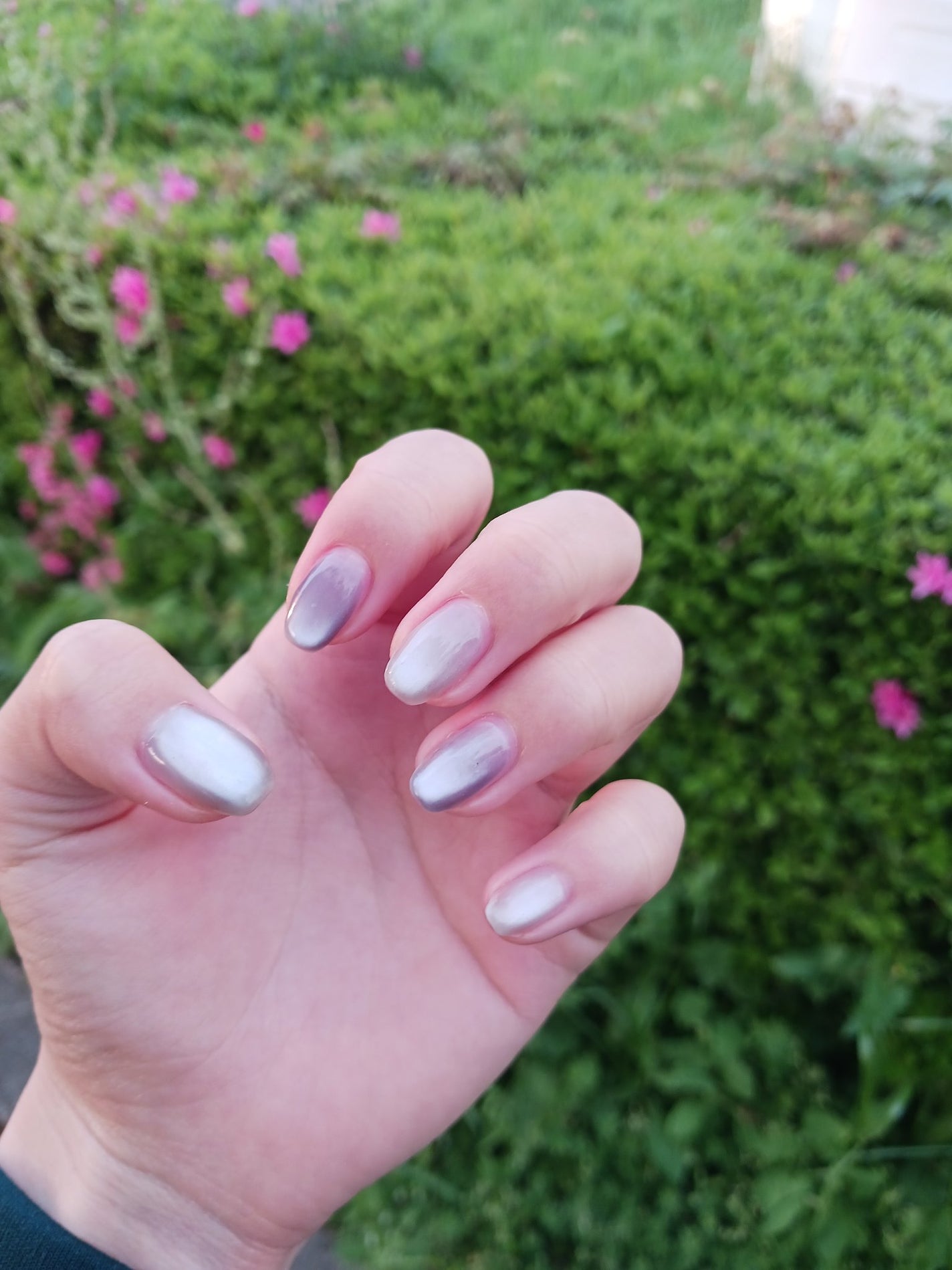 rikonikopooh フォロバ on LIPS 「🪻🤍🪻Sheinのマグネットネイルを初めて購入しました粘度は高..」(2枚目)