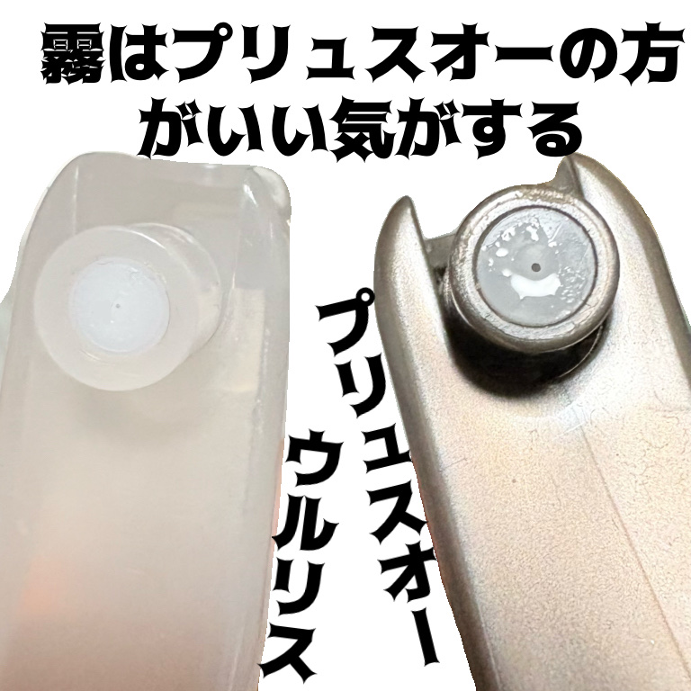 ウルリス ビタシー ウォーターコンク ブースター ヘアミスト/ululis/ヘアミストを使ったクチコミ（3枚目）