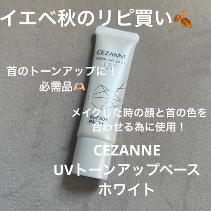 潤浸保湿 フェイスクリーム/キュレル/フェイスクリームを使ったクチコミ(5枚目)