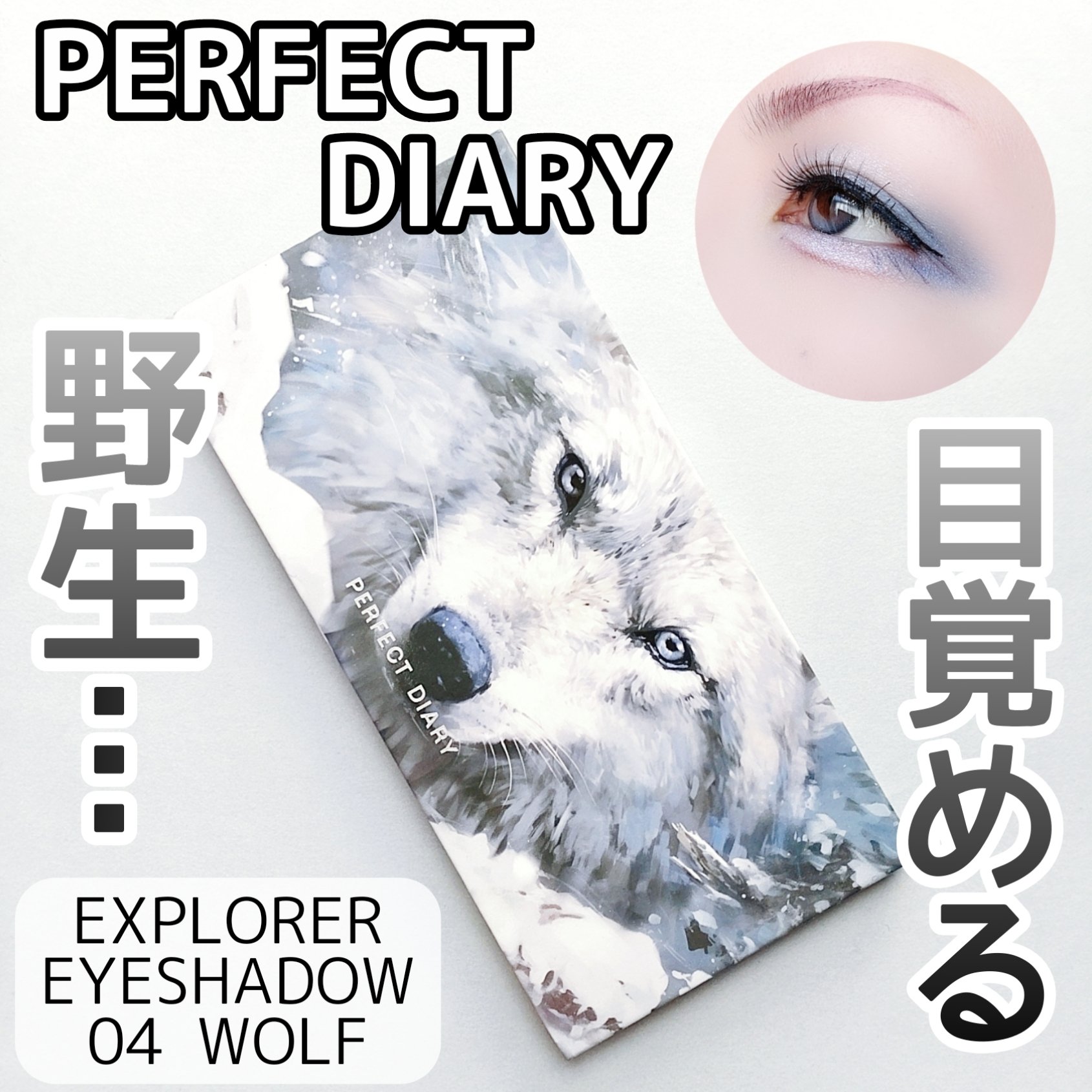 エクスプローラ12色 動物アイシャドウパレット/PERFECT DIARY/アイシャドウパレットを使ったクチコミ（1枚目）