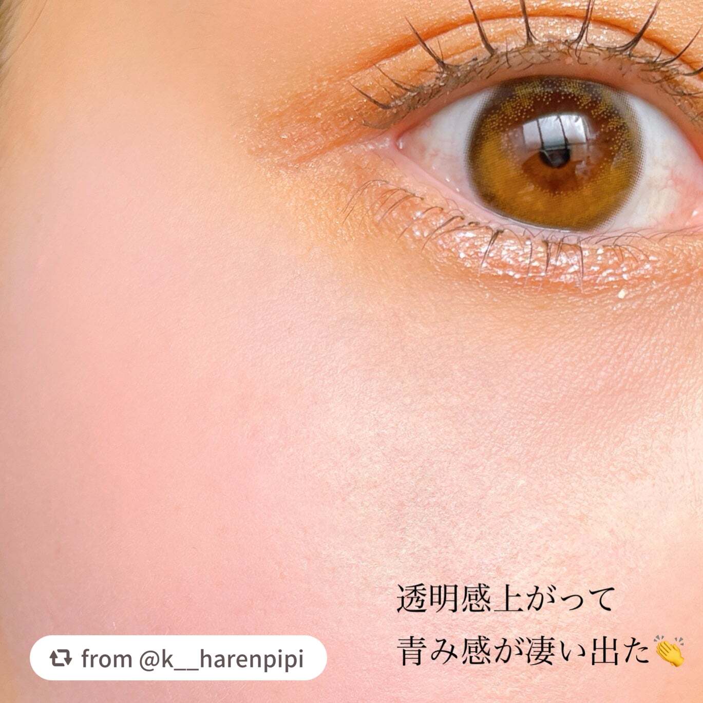 シーグラム カラーブルーム リキッドブラッシュ/SHEGLAM/リキッドチークを使ったクチコミ(7枚目)