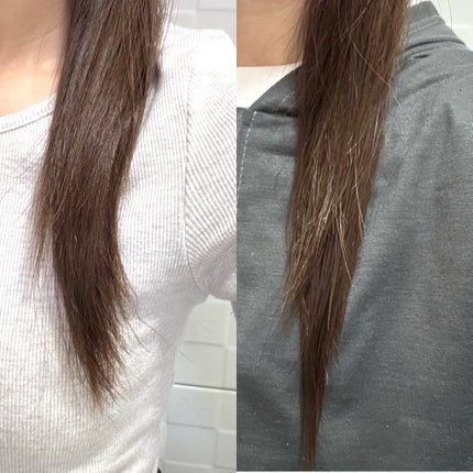 ナイトコラーゲンシャンプーミッドナイトフォレスト/treecell/市販シャンプーを使ったクチコミ(4枚目)