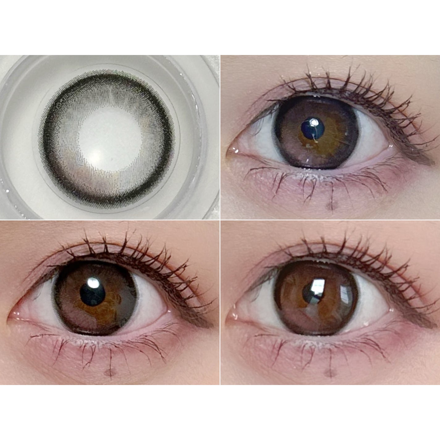 SIE. 1day/SIE./ワンデー(1DAY)カラコンを使ったクチコミ(2枚目)