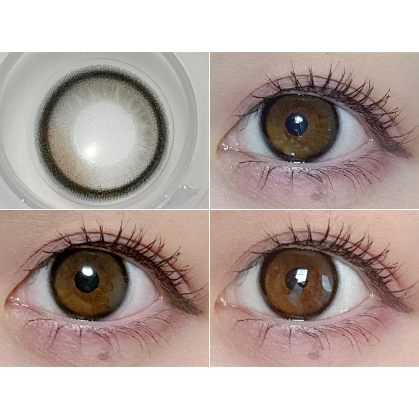 SIE. 1day/SIE./ワンデー(1DAY)カラコンを使ったクチコミ(4枚目)