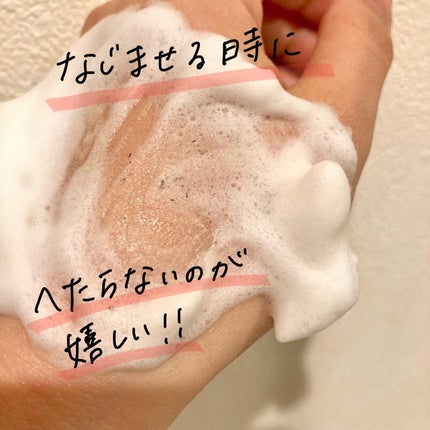 ホリーディア クリーミーリセットクレンジング/HOLIDEA/泡洗顔を使ったクチコミ(4枚目)