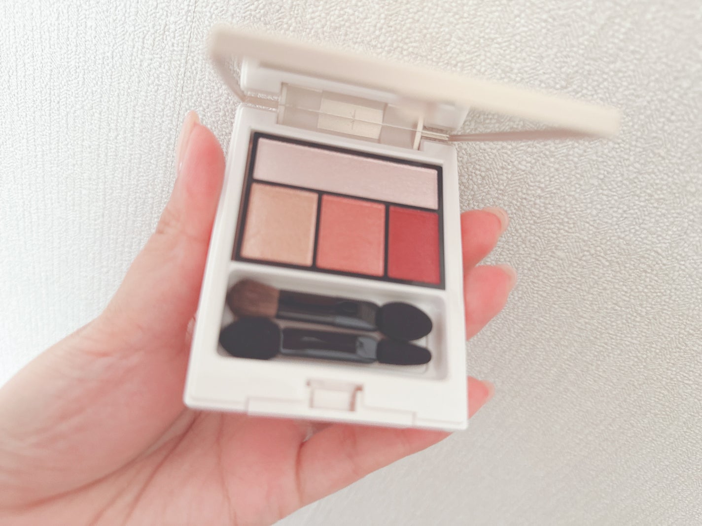 ドナチェーレ アイカラー/シャンソン化粧品/アイシャドウパレットを使ったクチコミ(2枚目)