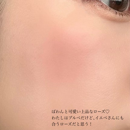 ホープガール3Dパウダーブラッシャー/Hope Girl/パウダーチークを使ったクチコミ(5枚目)