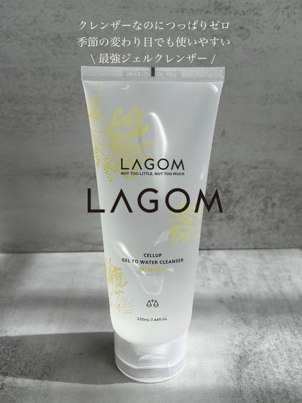 ジェルトゥウォーター クレンザー (MI)/LAGOM /その他洗顔料を使ったクチコミ(1枚目)