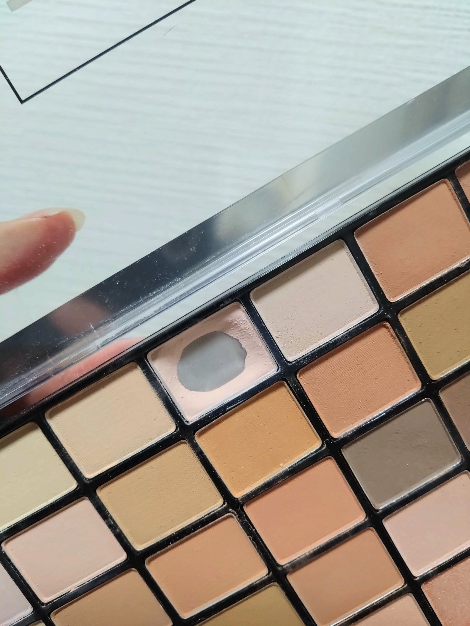 プロフェッショナルボリューム100カラー/Dolly Angel/アイシャドウパレットを使ったクチコミ（1枚目）