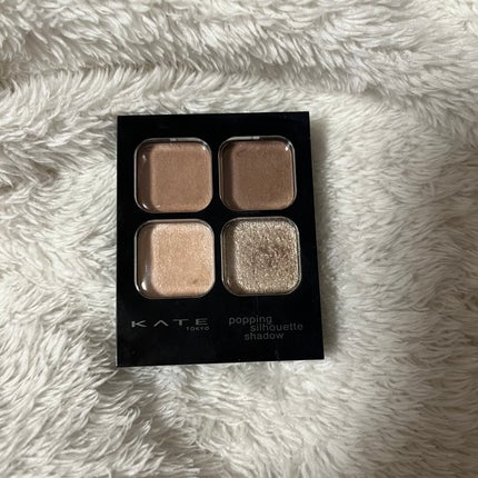 ケイト ポッピングシルエットシャドウ/KATE/アイシャドウパレットを使ったクチコミ(4枚目)